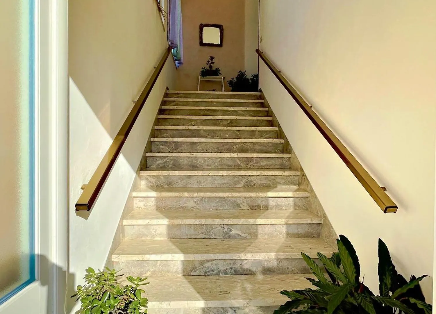 Guest house Vivi Lucca Con 